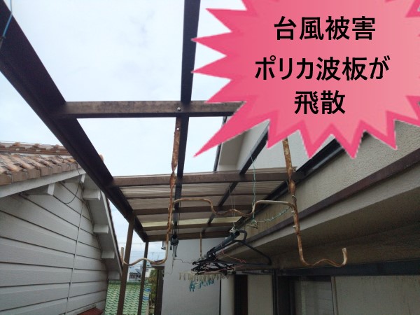 和泉市リピーター様のベランダ屋根・ポリカ波板が外れ飛散した調査｜台風被害は建物の火災保険が適用されるかも！